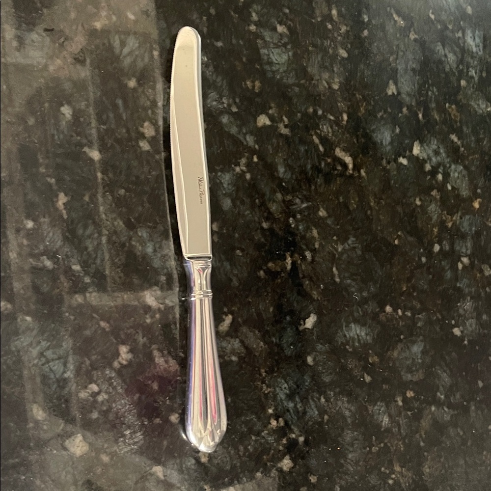 Paloma Picasso RARE NWT Dinner Knife